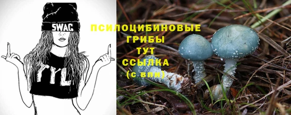 мяу мяу мука Беломорск